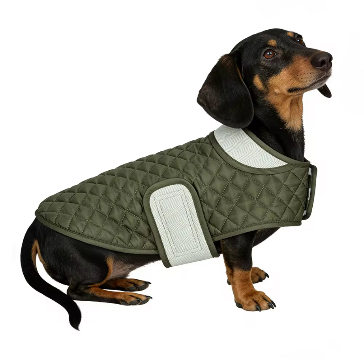 Cozy Plaid Quilted Dog Vest Green